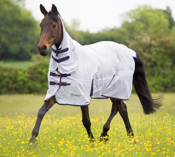 Shires Tempest Fly Rug Combo 6' 6" to Golden Hill Pet Supplies